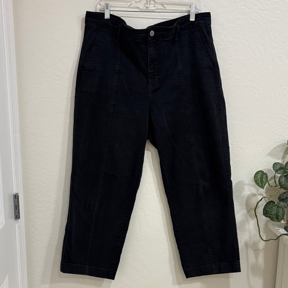 Everlane Straight Leg Chino Utility Pants 16R